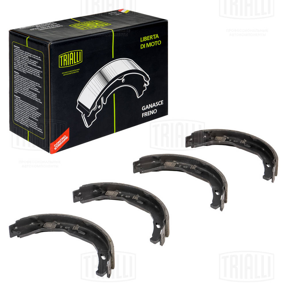 Brake Shoe Set, parking brake (GF 4619)