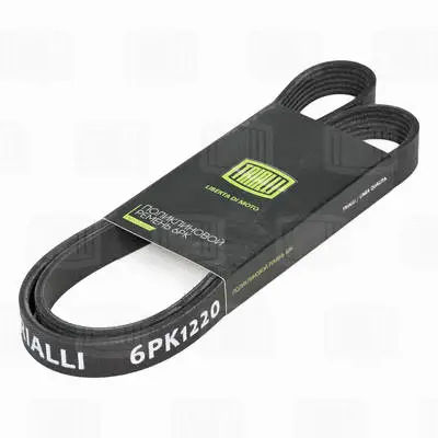 V-Ribbed Belt (6PK1220)