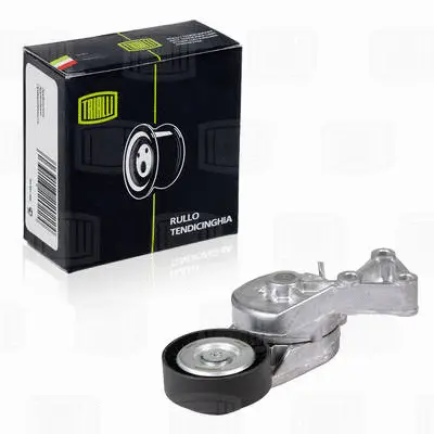 Deflection/Guide Pulley, V-ribbed belt (CM 5189)