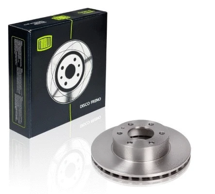 Brake Disc (DF 168105)