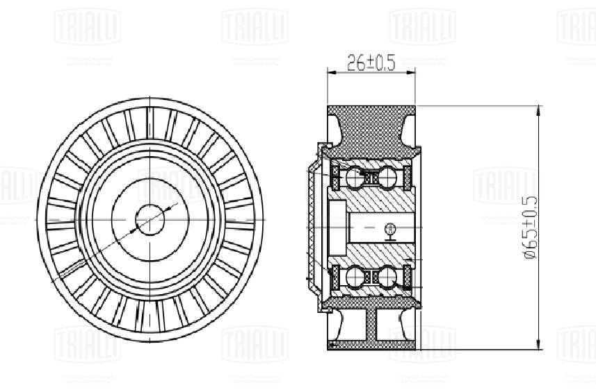 Deflection/Guide Pulley, V-ribbed belt (CM 5779)