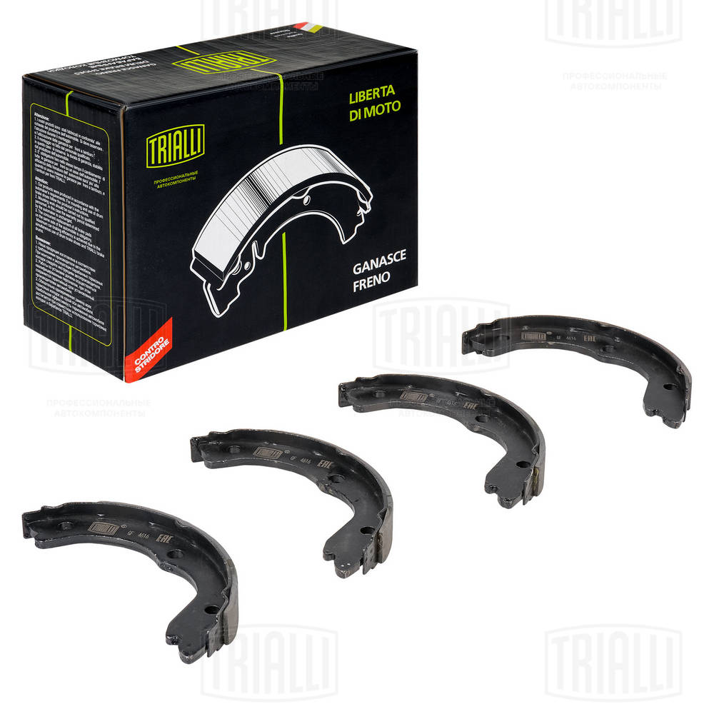 Brake Shoe Set, parking brake (GF 4616)