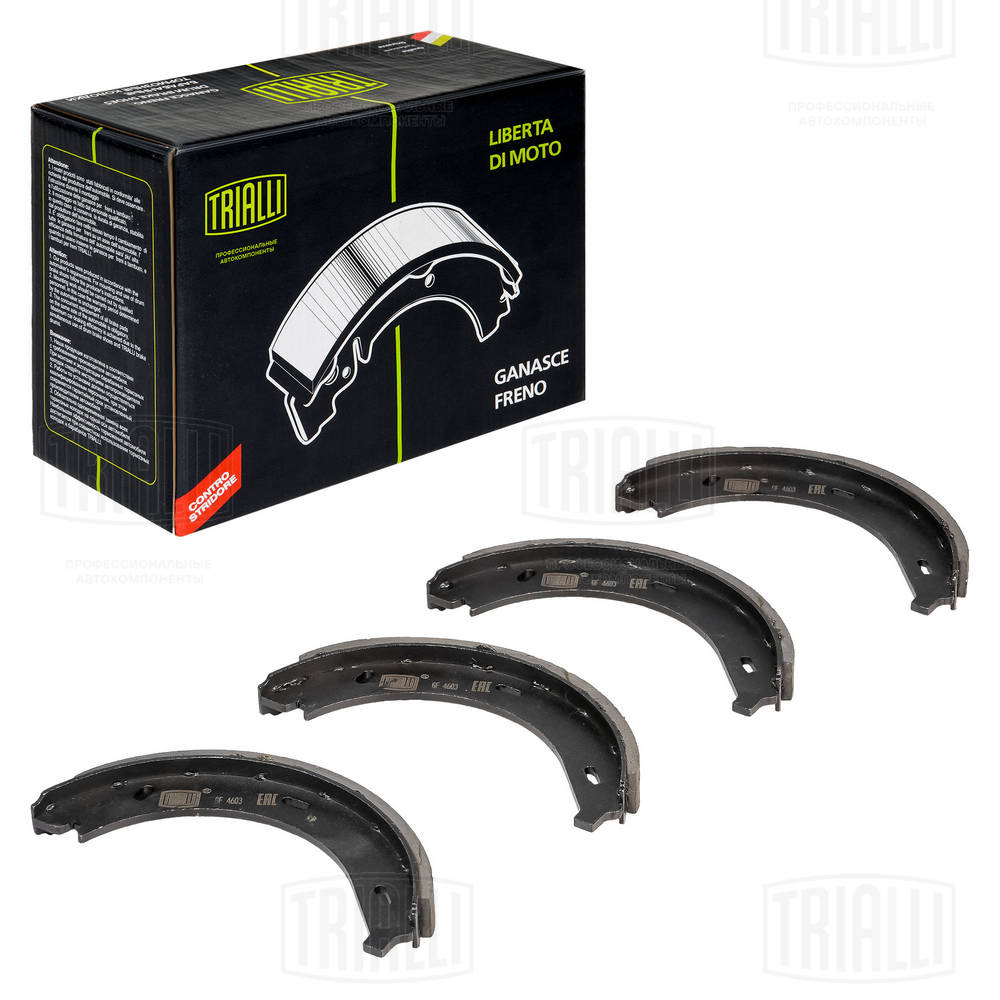 Brake Shoe Set, parking brake (GF 4603)