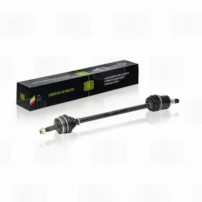 Drive Shaft (AR 710)