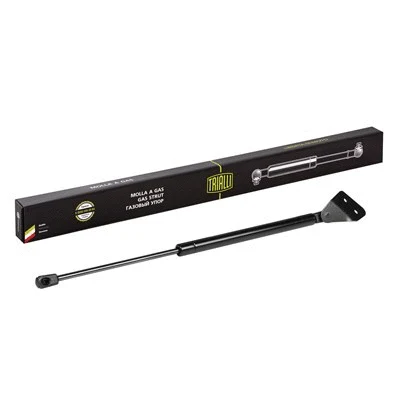 Gas Spring, boot/cargo area (GS 0839)