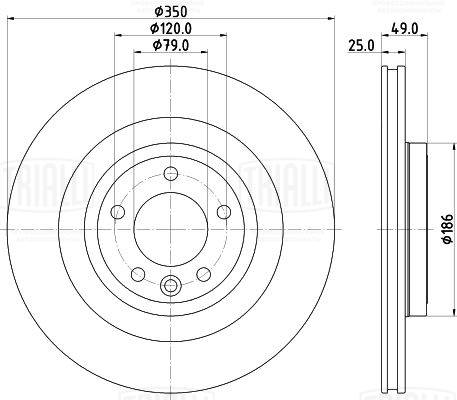 Brake Disc (DF 198020)