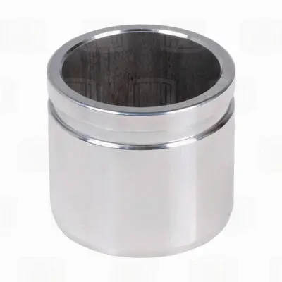 Repair Kit, brake caliper (RCF 052202)