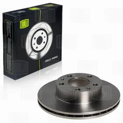 Brake Disc (DF 165101)