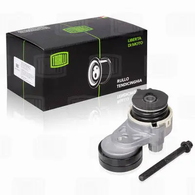 Deflection/Guide Pulley, V-ribbed belt (CM 0507)