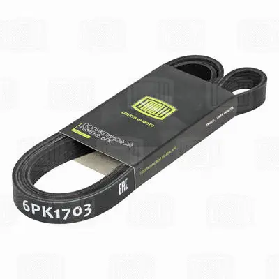 V-Ribbed Belt (6PK1703)