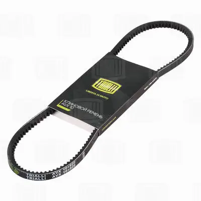 V-Belt (AVX10X820)