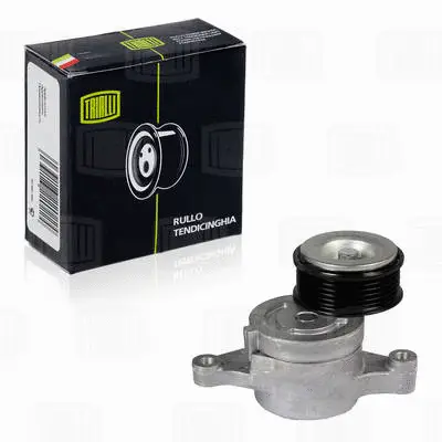 Deflection/Guide Pulley, V-ribbed belt (CM 2502)