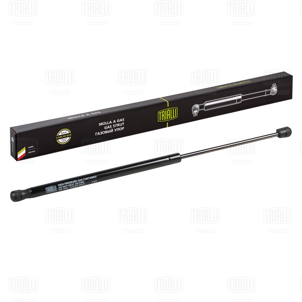 Gas Spring, boot/cargo area