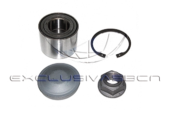 Wheel Bearing Kit (MWB-R1074)