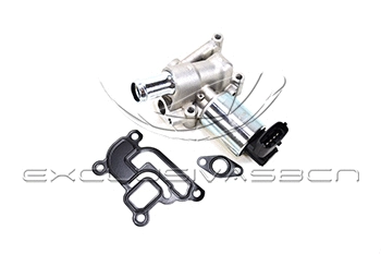 EGR Valve (EEG-OP09)