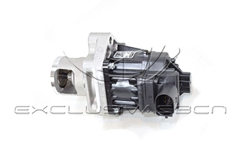 EGR Valve
