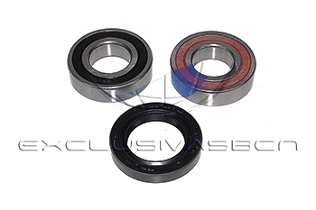 Wheel Bearing Kit (MWB-R1001)