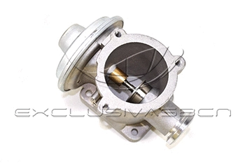 EGR Valve (EEG-BM05)