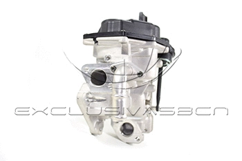 EGR Valve