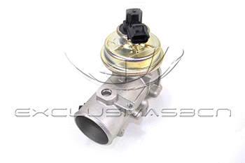 EGR Valve (EEG-FO11)