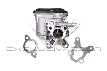 EGR Valve (EEG-NR15)