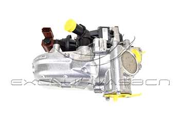EGR Valve