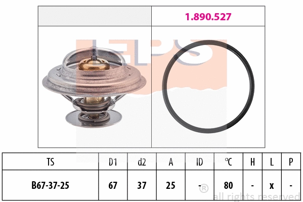 Thermostat, coolant (EPS-1880 623)