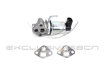 EGR Valve (EEG-VA19)
