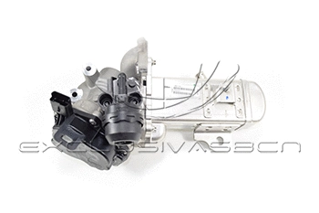 EGR Valve