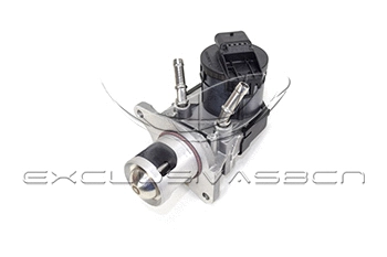 EGR Valve (EEG-BM06)