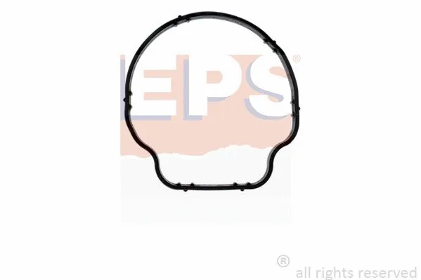 Gasket, thermostat housing