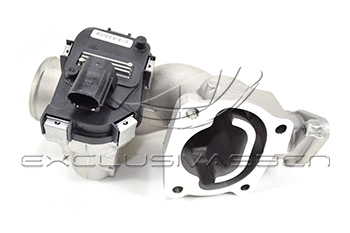 EGR Valve (EEG-AF26)