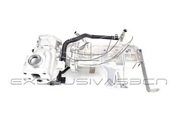 EGR Valve (EEG-OP04)