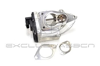 EGR Valve (EEG-NR29)