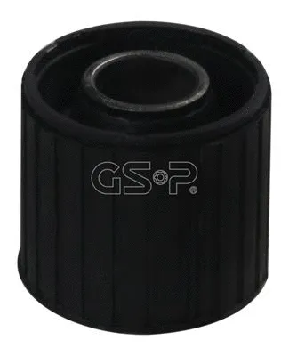 Mounting, control/trailing arm (GSP-511909)