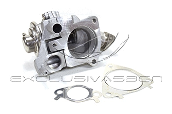 EGR Valve (EEG-AF07)