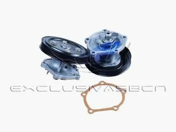 Water Pump, engine cooling (MWP-4819)