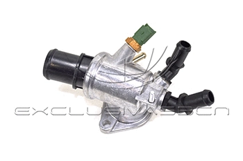 Thermostat, coolant