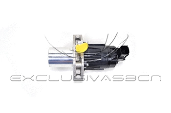 EGR Valve