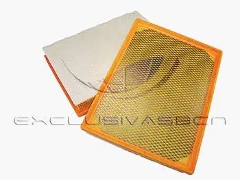 Air Filter (MAF-3138)