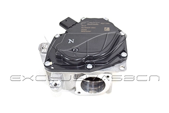 EGR Valve (EEG-AF22)