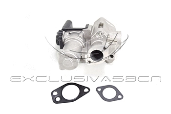 EGR Valve