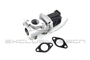 EGR Valve (EEG-AF03)