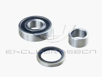 Wheel Bearing Kit (MWB-R1002)