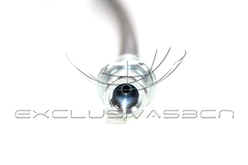 Holding Bracket, brake hose