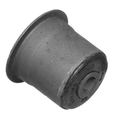 Mounting, control/trailing arm (GSP-519635)