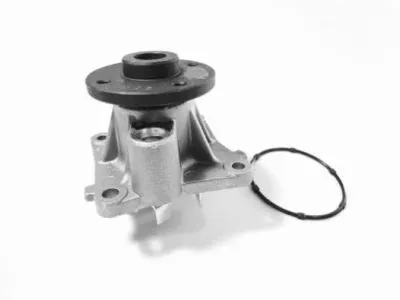 Water Pump, engine cooling (AIS-WESM01)