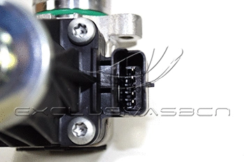 EGR Valve