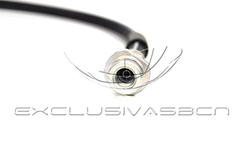 Holding Bracket, brake hose