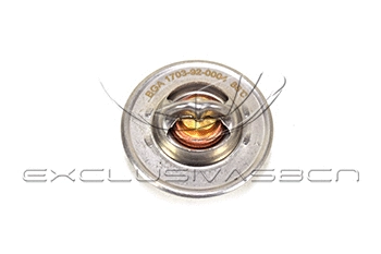 Thermostat, coolant
